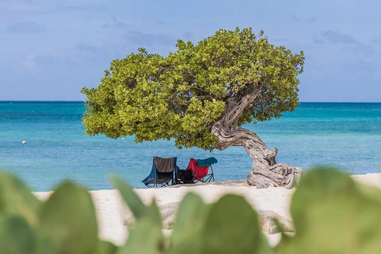 Fully Smart Studio Apartment Harbor View Oranjestad 0*,  Aruba