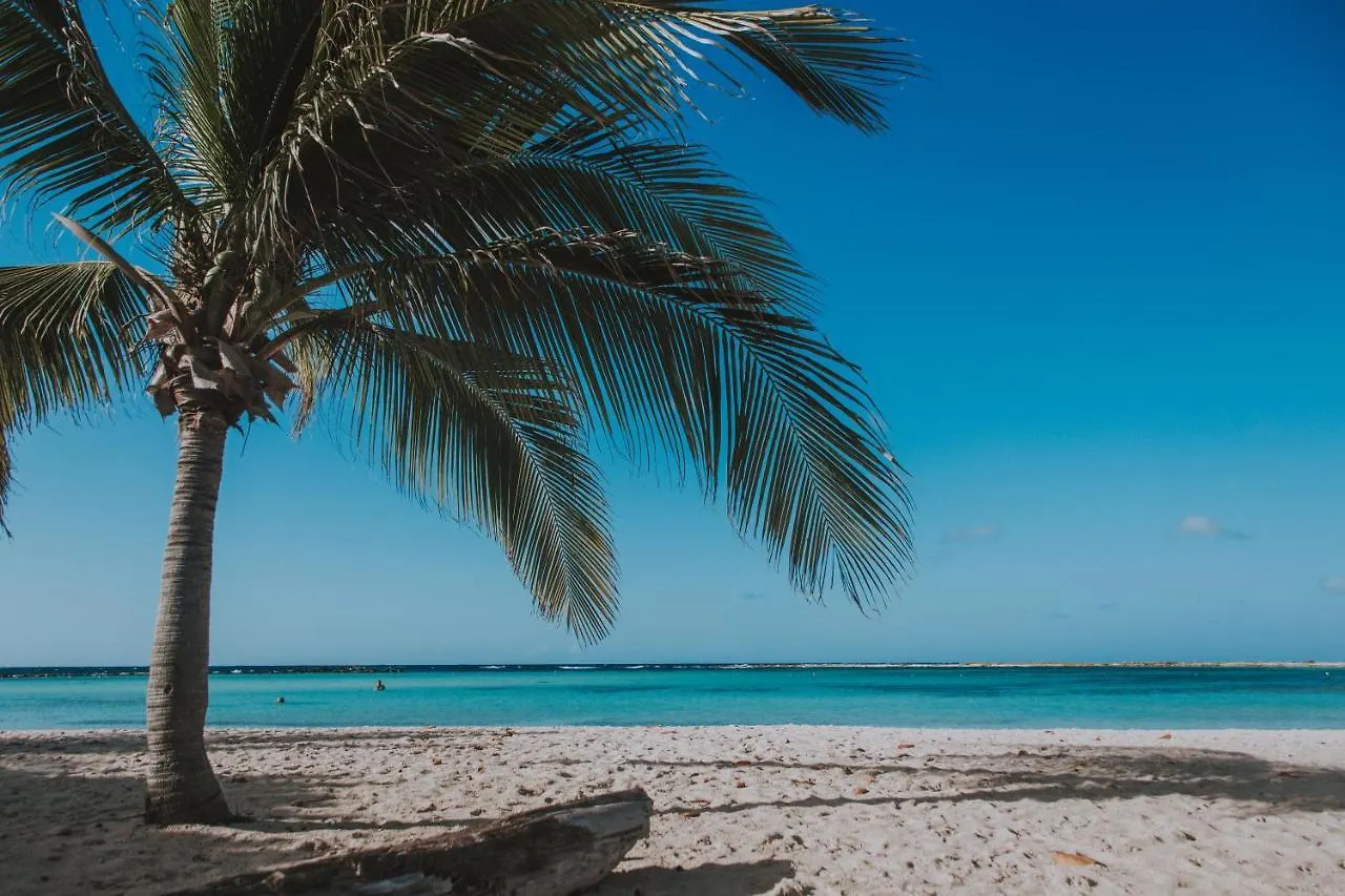 Fully Smart Studio Apartment Harbor View Oranjestad